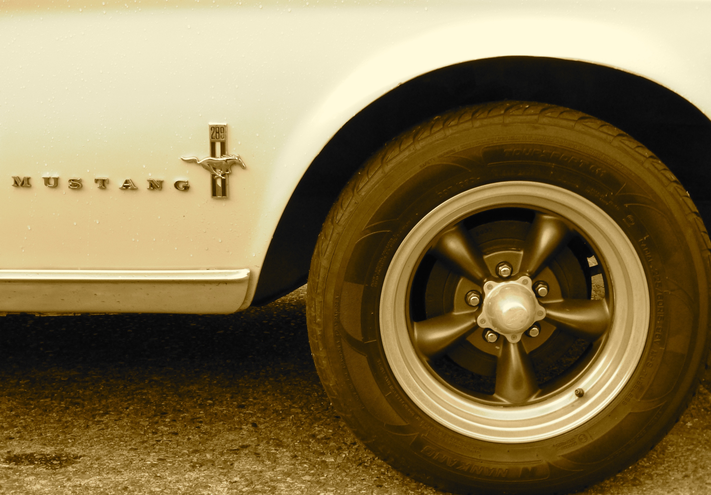 Mustang Sally – The wonder of wheels